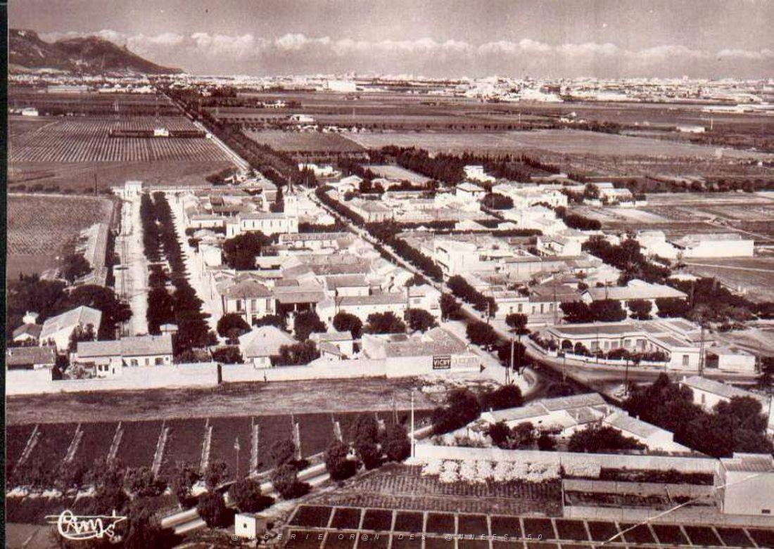 La Senia 062.jpg